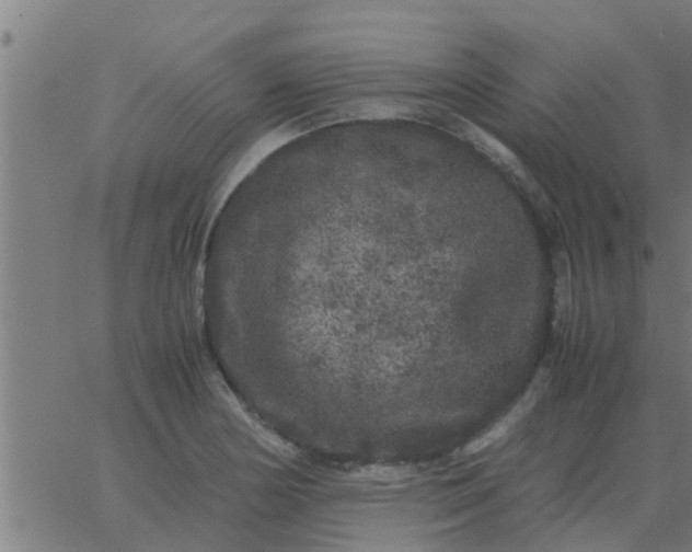 X0000062851178200601272034