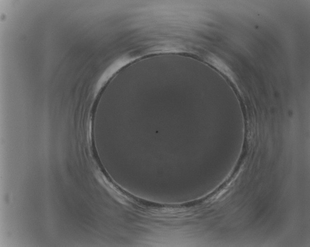 X0000062851179200601272034