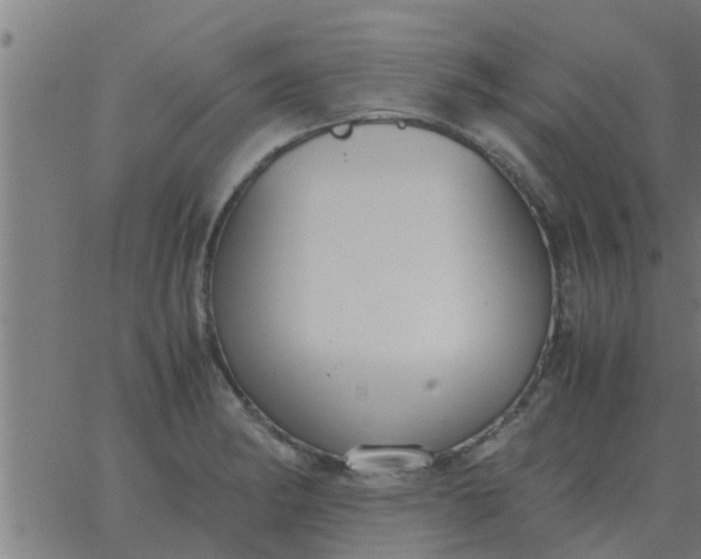 X0000062851182200601272034