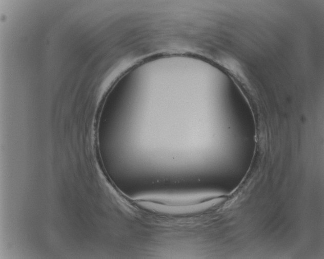 X0000062851183200601272034