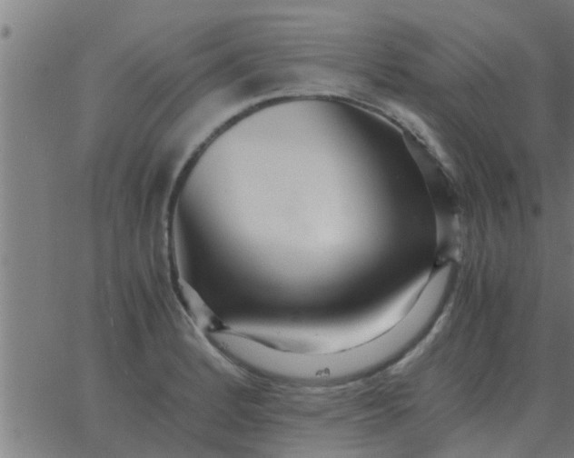 X0000062851184200601272034