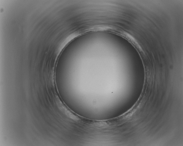 X0000062851186200601272034