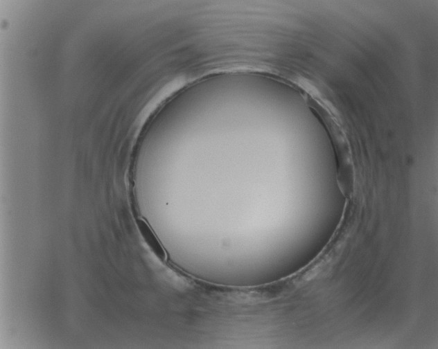 X0000062851189200601272033