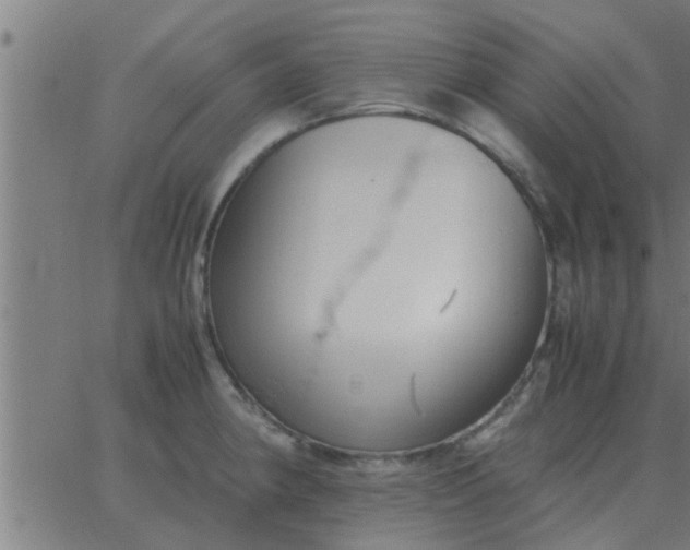 X0000062851190200601272033