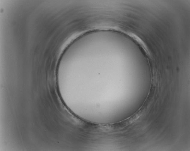 X0000062851191200601272033