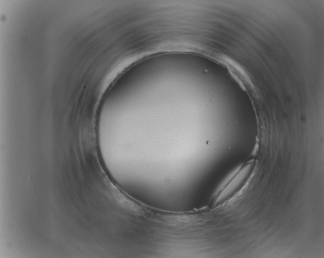 X0000062851192200601272033