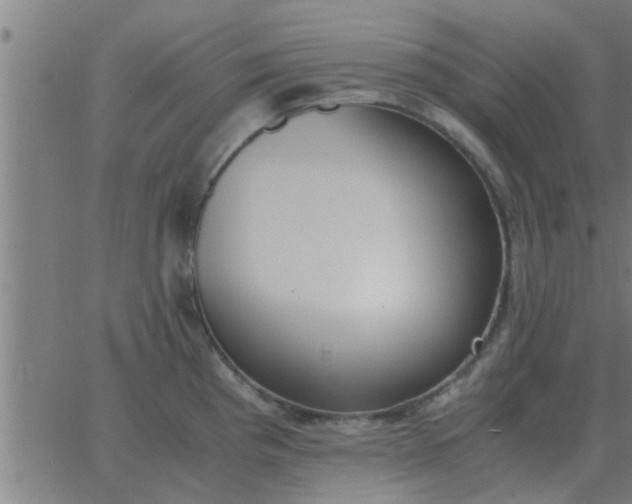 X0000062851193200601272033