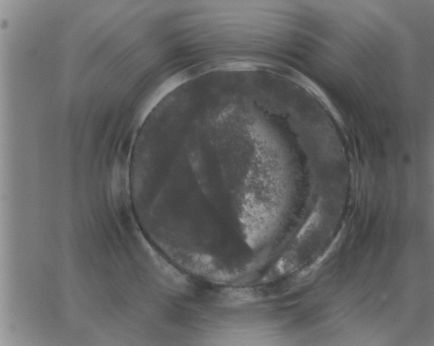 X0000062851194200601272033