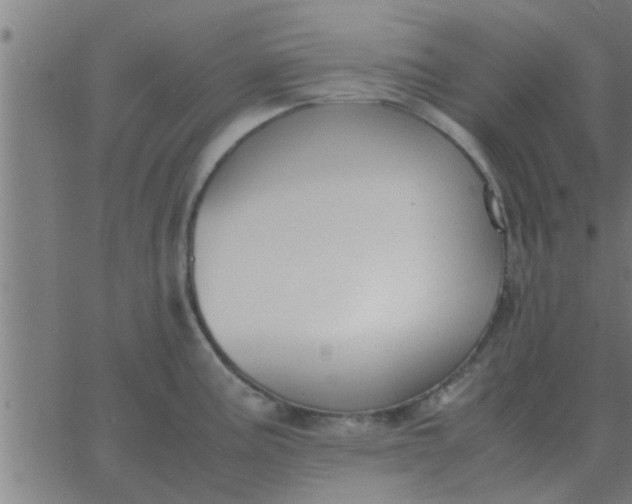 X0000062851195200601272033