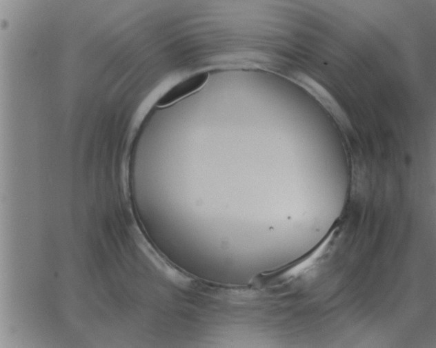 X0000062851196200601272033