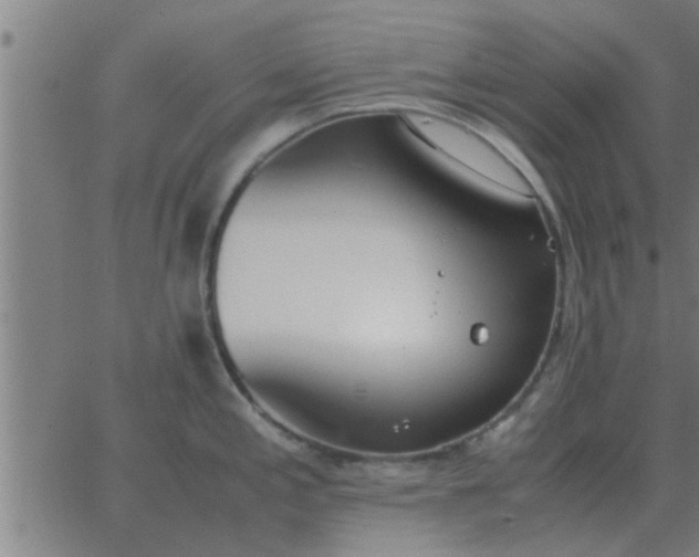 X0000062851197200601272033