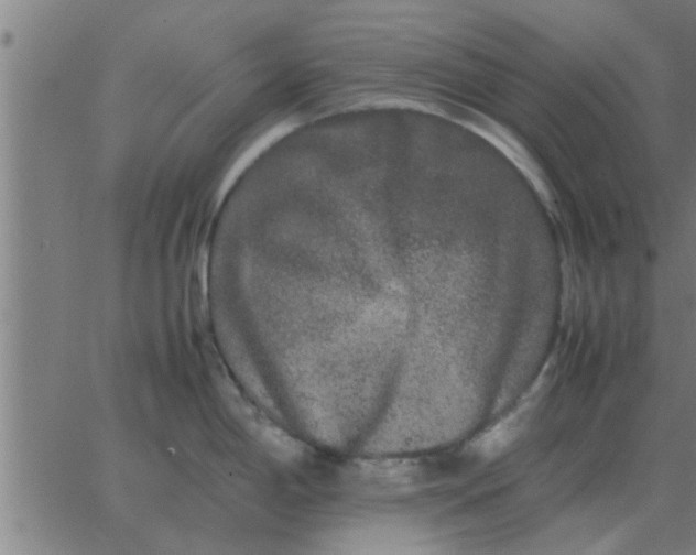 X0000062851198200601272033