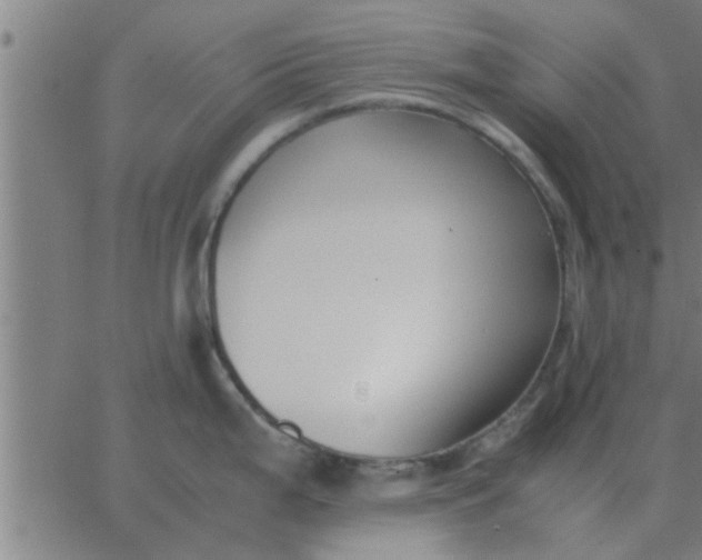 X0000062851199200601272033