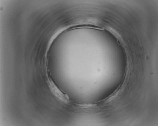 X0000062851200200601272033