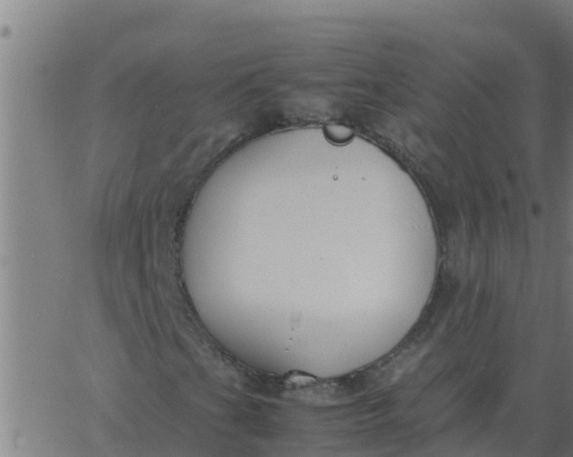 X0000062851201200601272033