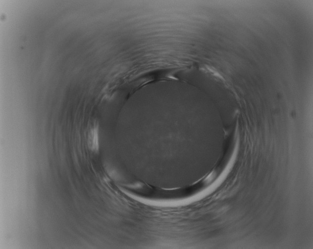 X0000062851202200601272033