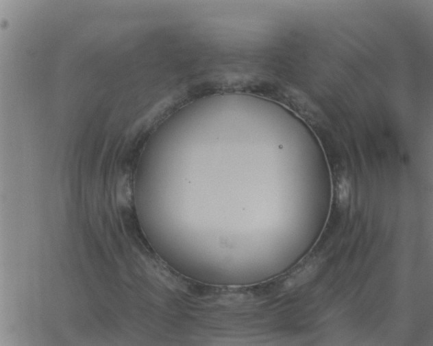 X0000062851204200601272033