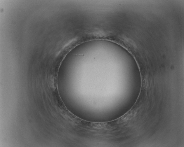 X0000062851205200601272033