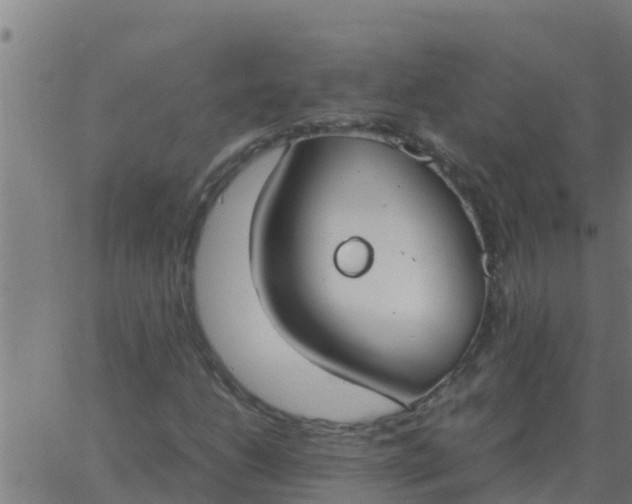 X0000062851206200601272033