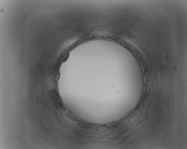 X0000062851207200601272033