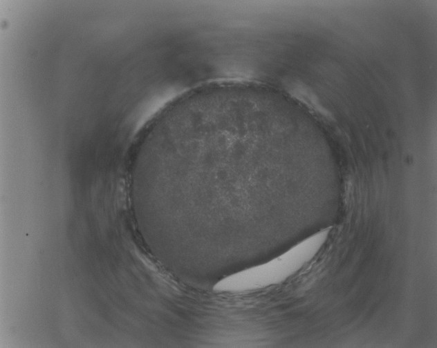 X0000062851208200601272033