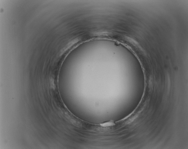 X0000062851209200601272033