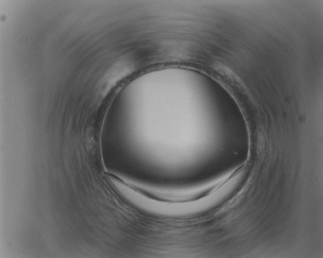 X0000062851210200601272033