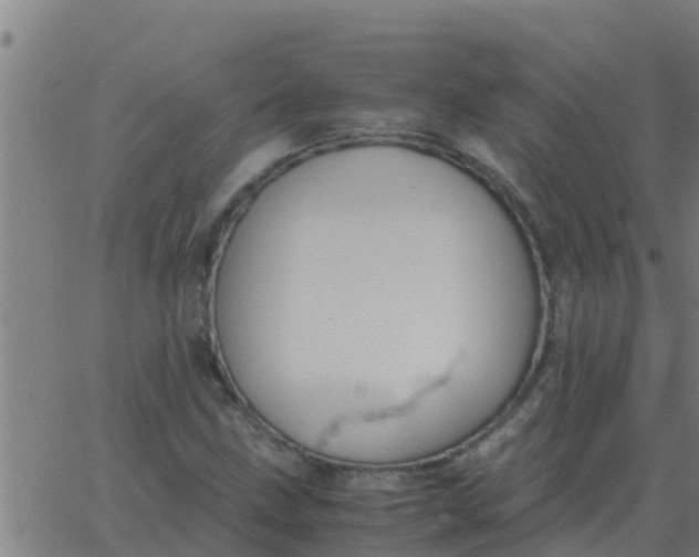 X0000062851211200601272033