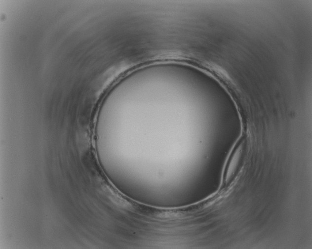 X0000062851212200601272033