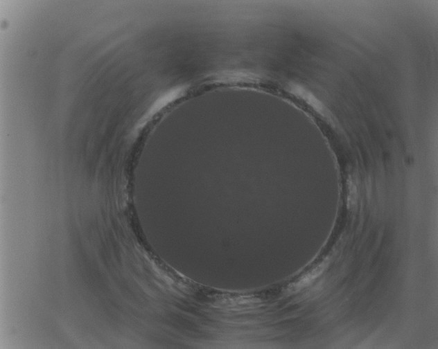 X0000062851213200601272033