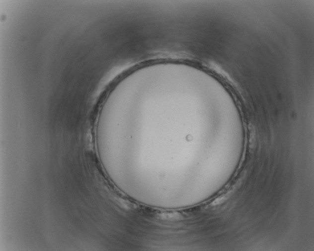 X0000062851215200601272033