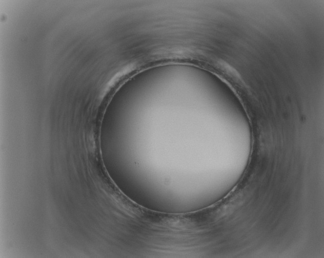 X0000062851218200601272033