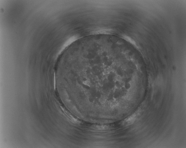 X0000062851219200601272033