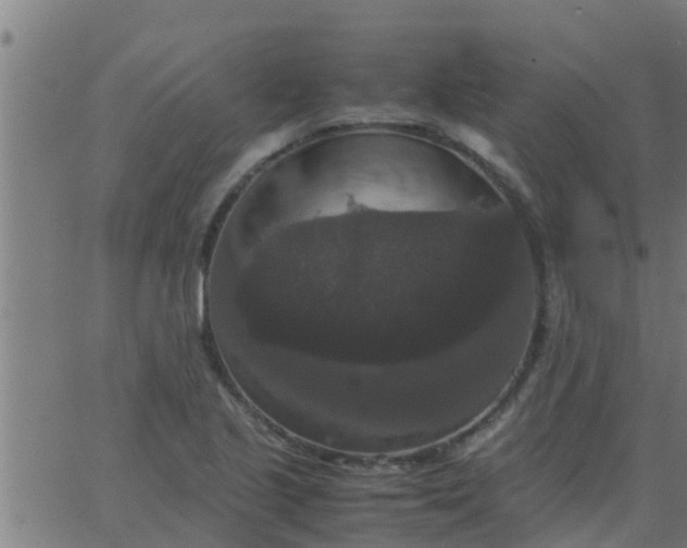 X0000062851221200601272033