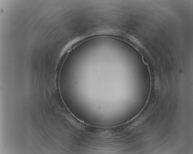 X0000062851222200601272033