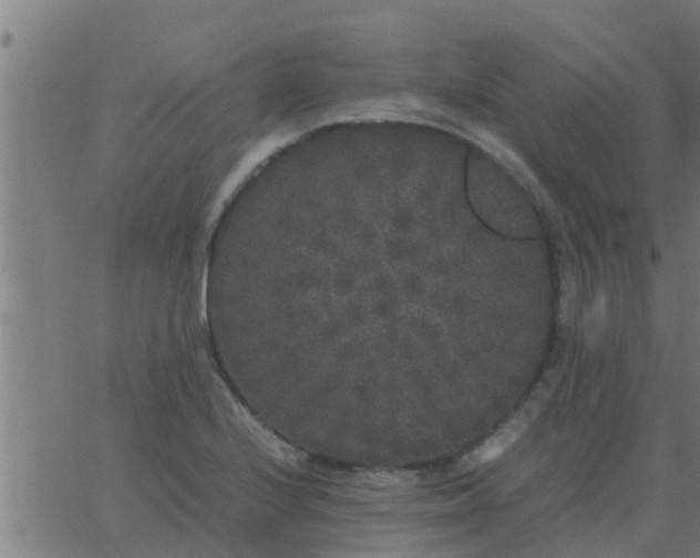 X0000062851224200601272033