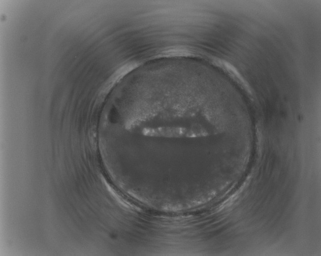 X0000062851225200601272033