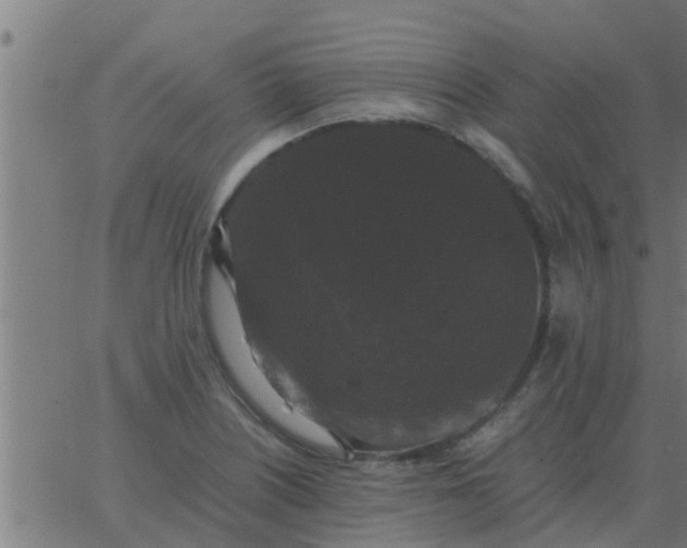 X0000062851226200601272033