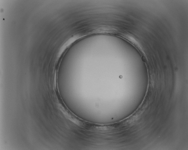 X0000062851227200601272033