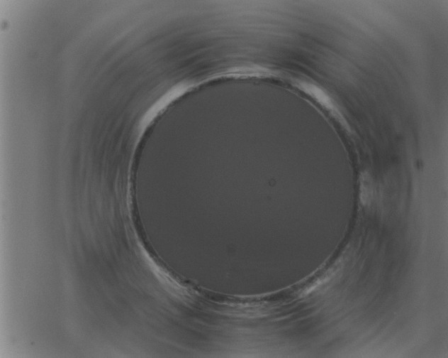 X0000062851229200601272033