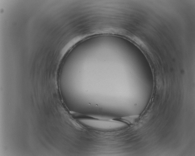 X0000062851230200601272033