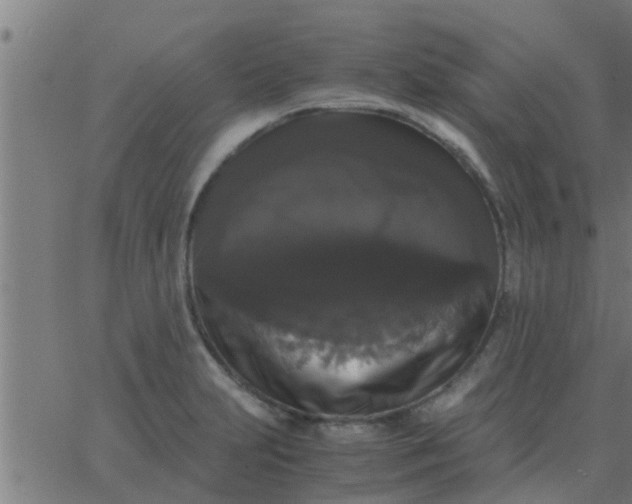 X0000062851231200601272033