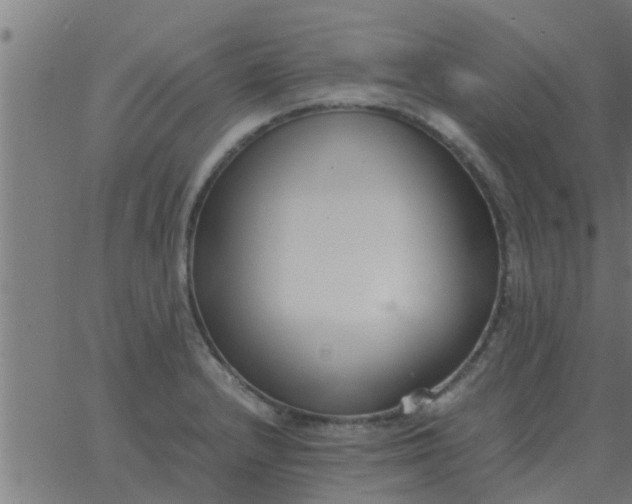 X0000062851232200601272033