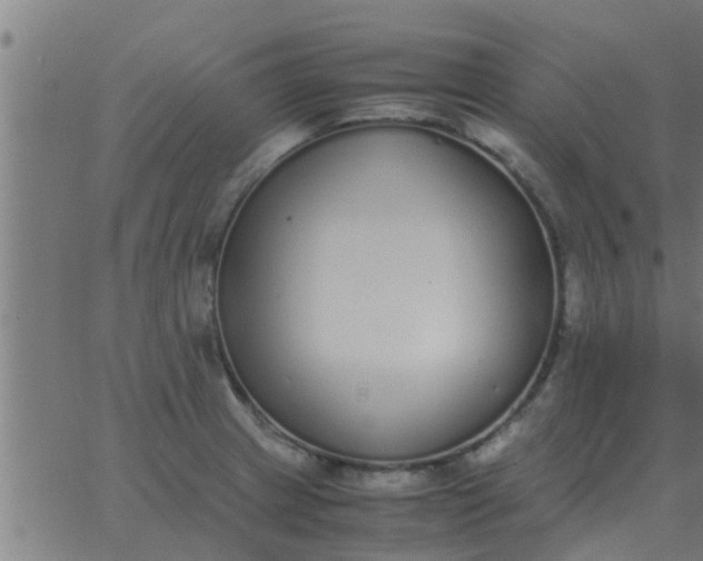 X0000062851233200601272033