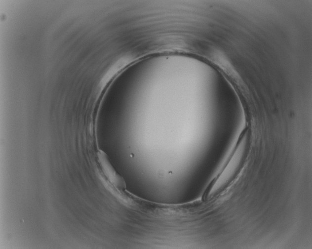 X0000062851234200601272033