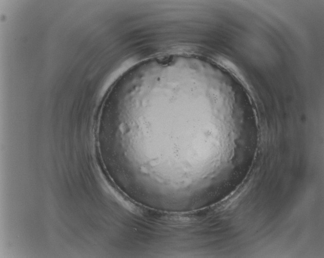 X0000062851235200601272033