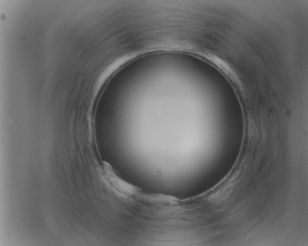 X0000062851238200601272033