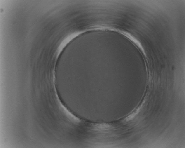 X0000062851239200601272033