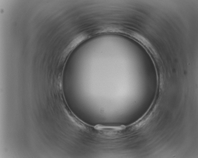 X0000062851241200601272033