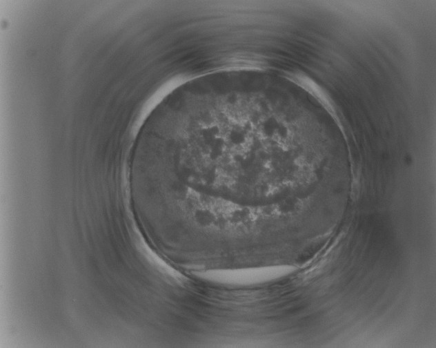 X0000062851243200601272033